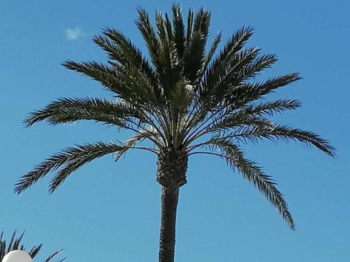 Ferienwohnung Mirador De Aguamarina Dehesa de Dehesa de Campoamor Exterior foto